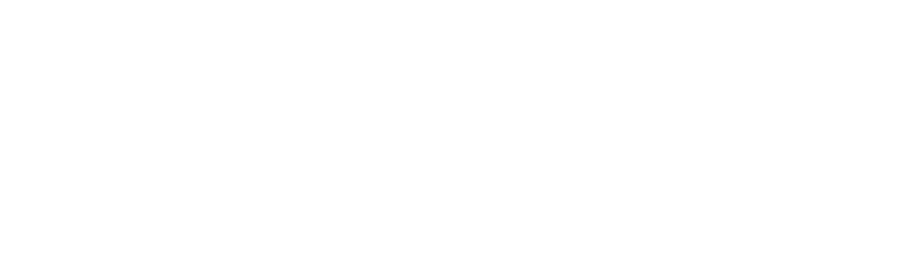 Man with Van